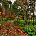 Herbstspaziergang