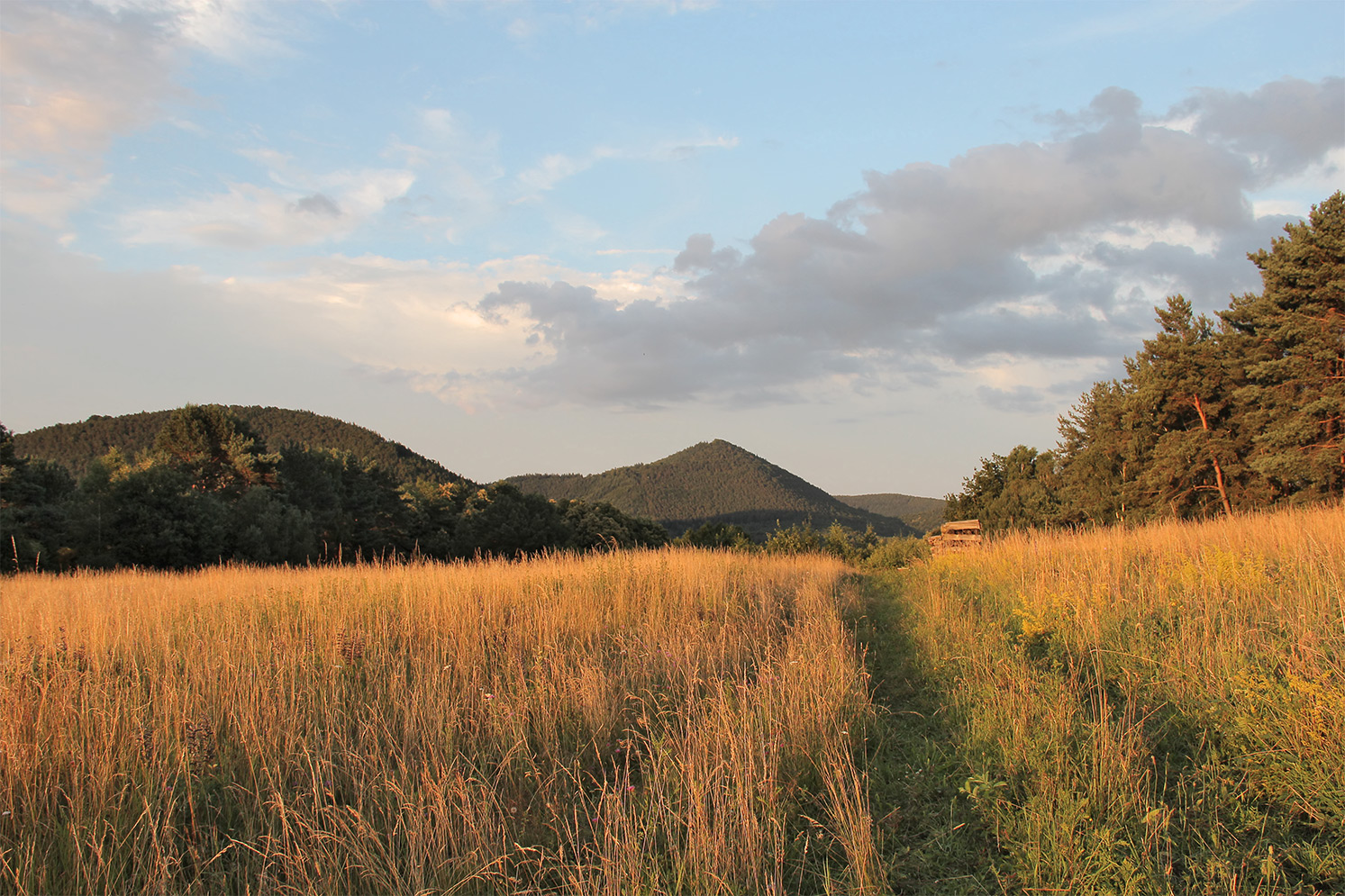 Herbstspaziergang ....