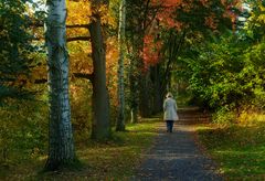 Herbstspaziergang