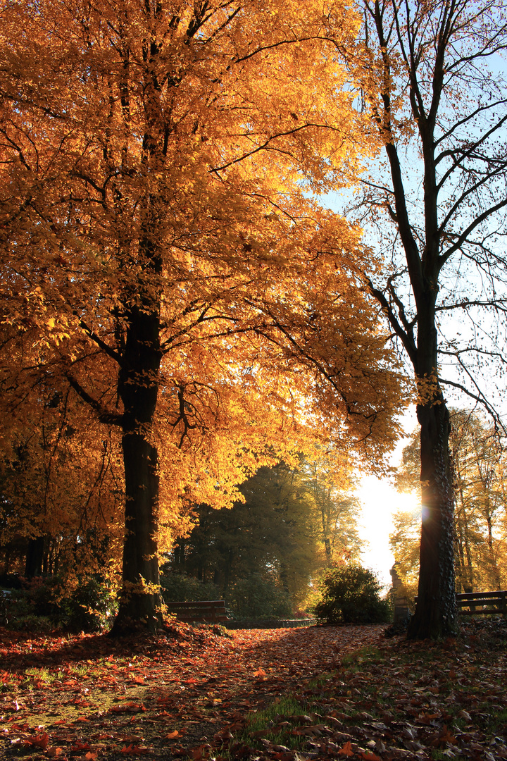 Herbstspaziergang