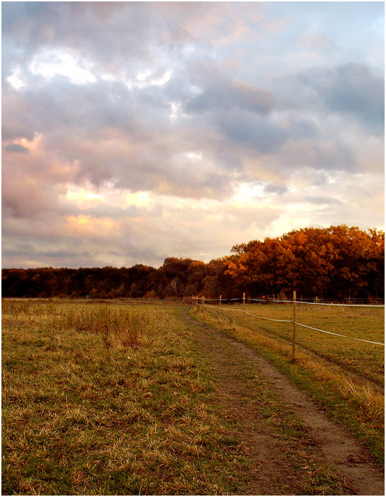 Herbstspaziergang