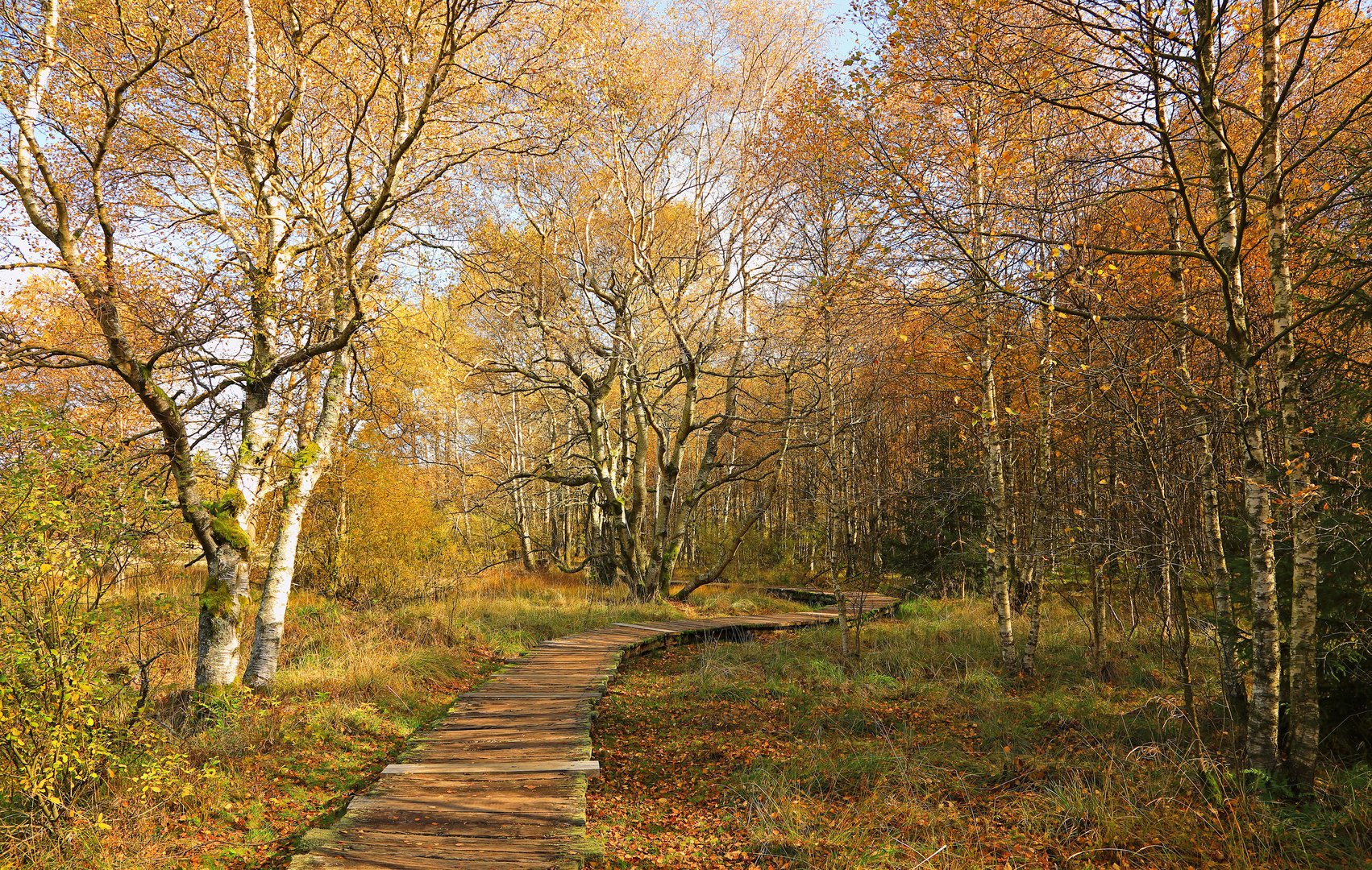 Herbstspaziergang