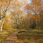 Herbstspaziergang