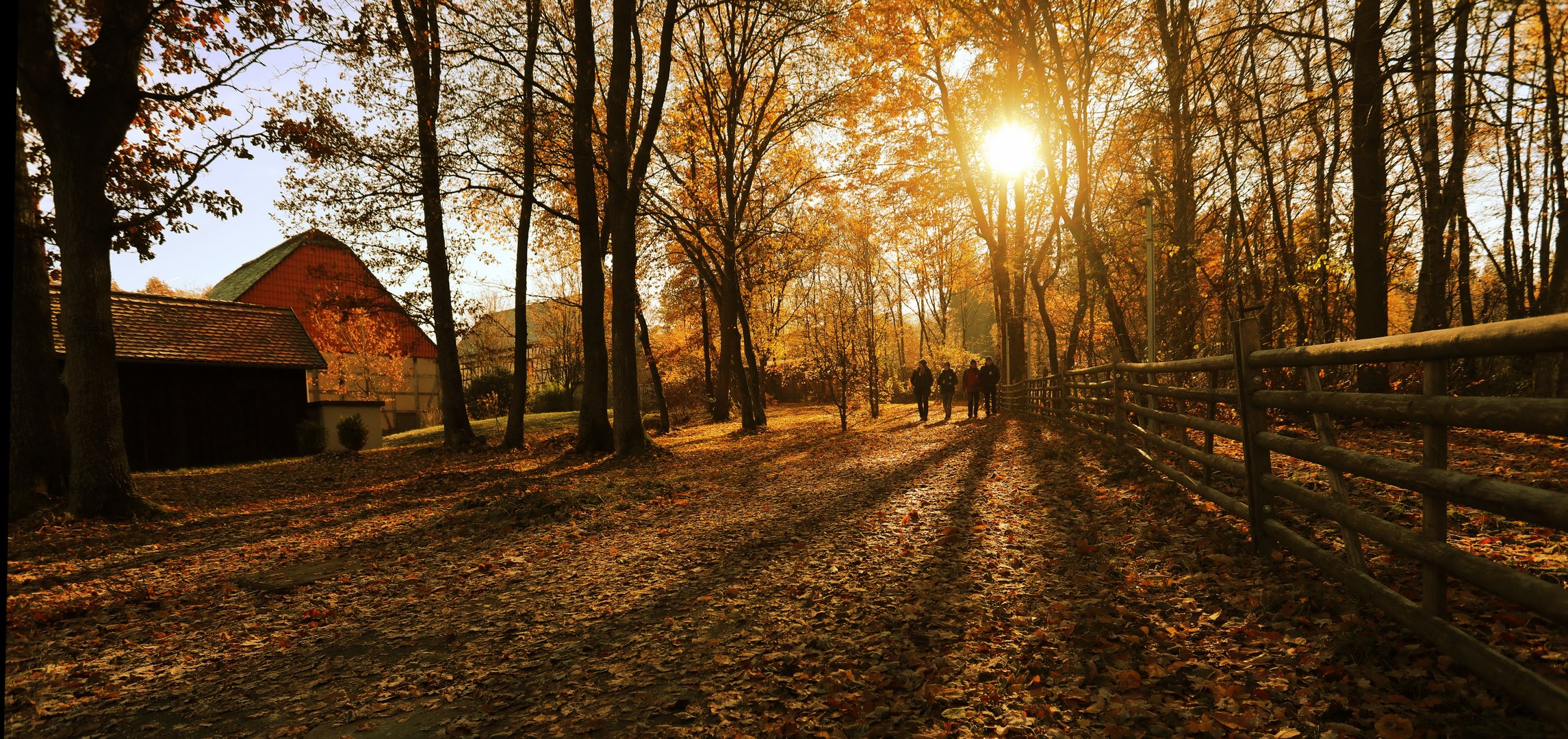 Herbstspaziergang 