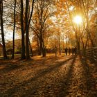 Herbstspaziergang 