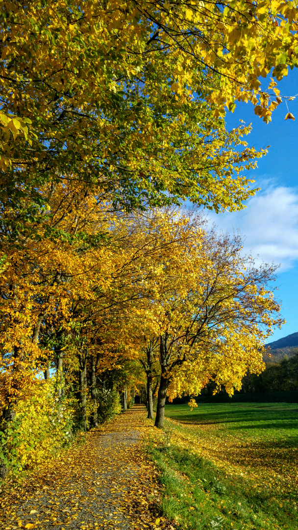 Herbstspaziergang