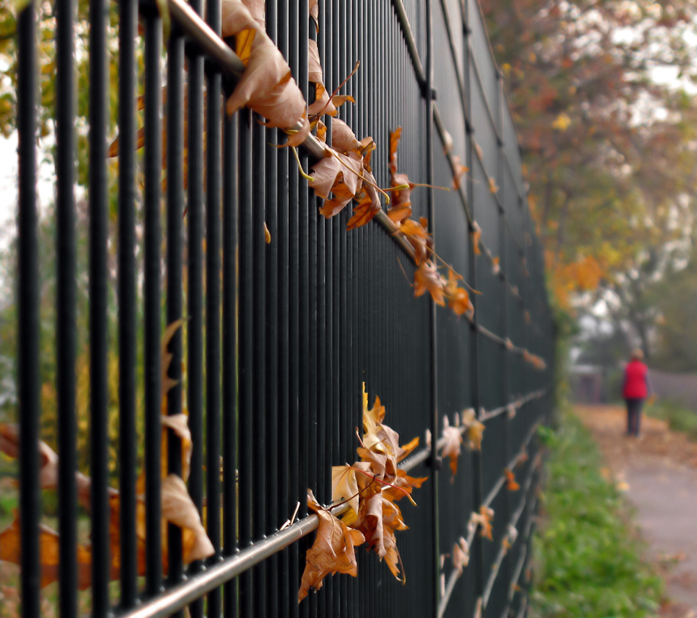 Herbstspaziergang