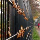 Herbstspaziergang