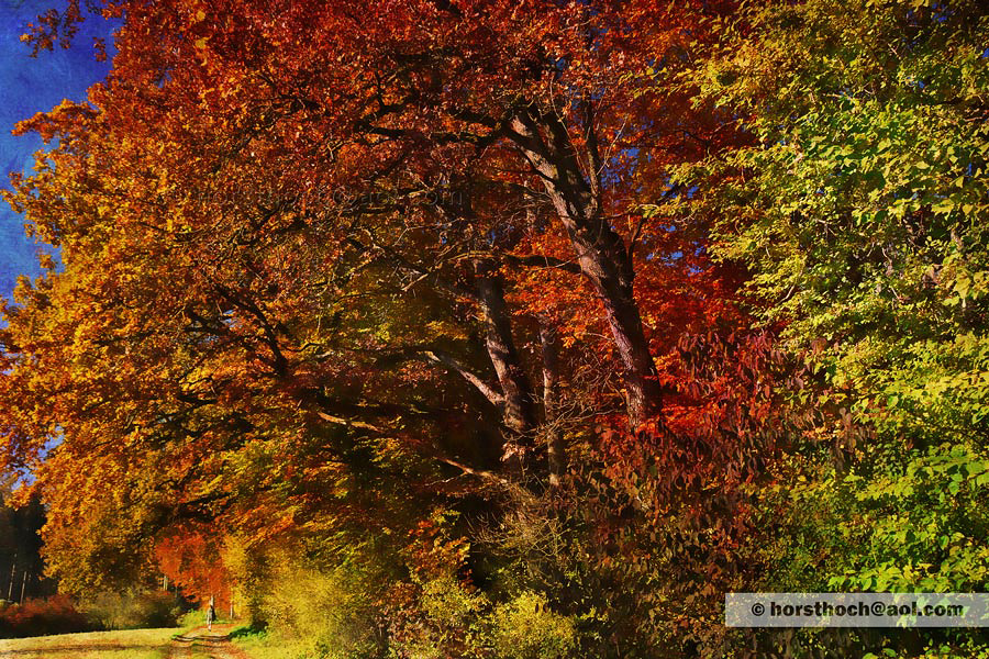 Herbstspaziergang