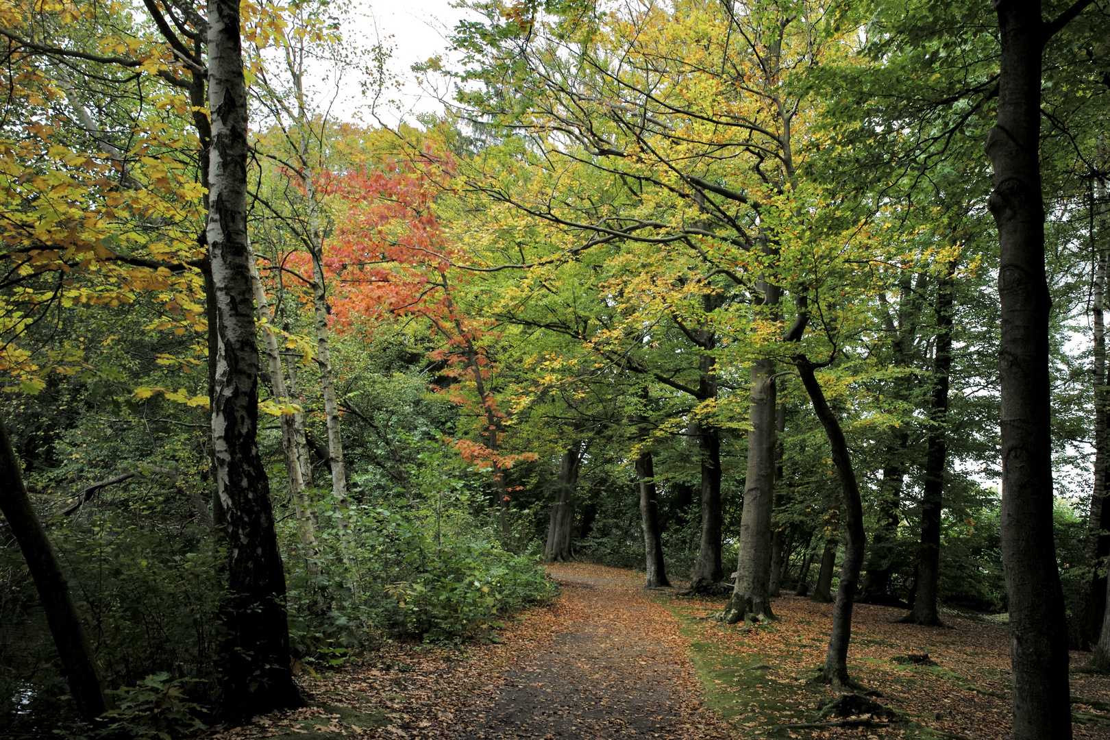 Herbstspaziergang