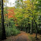 Herbstspaziergang