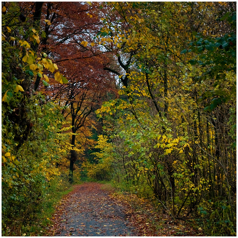 Herbstspaziergang