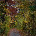 Herbstspaziergang