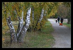 Herbstspaziergang