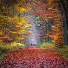 Herbstspaziergang