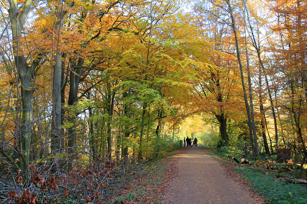 Herbstspaziergang