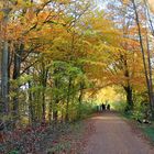 Herbstspaziergang