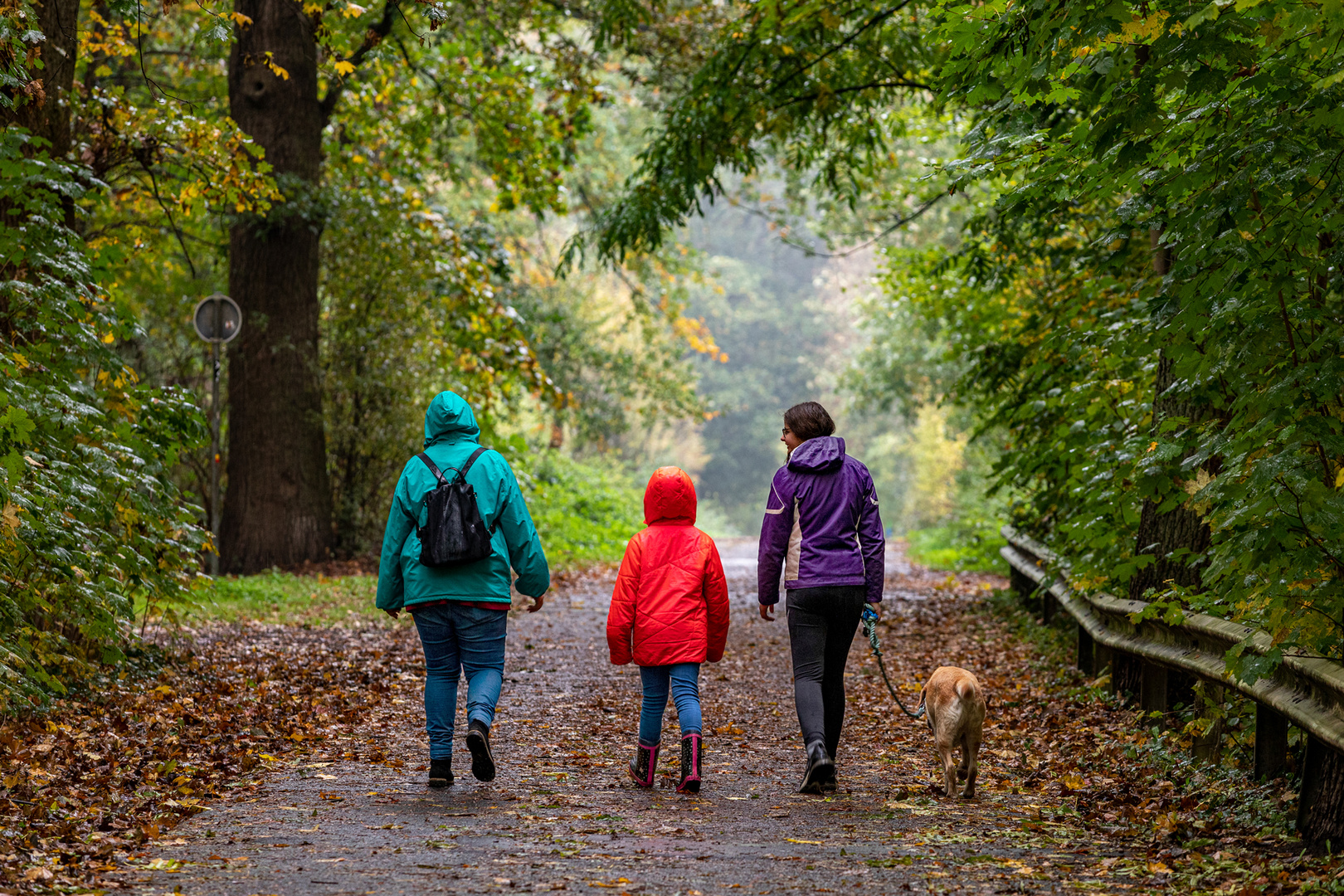 Herbstspaziergang