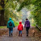 Herbstspaziergang