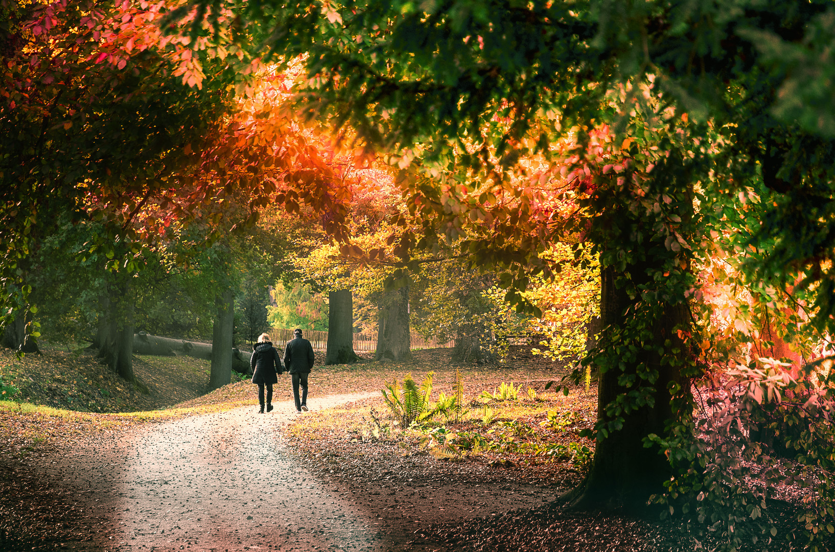 Herbstspaziergang 