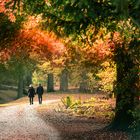 Herbstspaziergang 