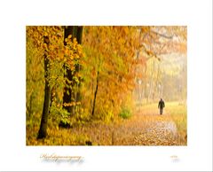 Herbstspaziergang...