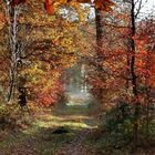 Herbstspaziergang