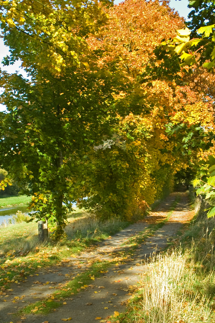 Herbstspaziergang