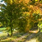 Herbstspaziergang