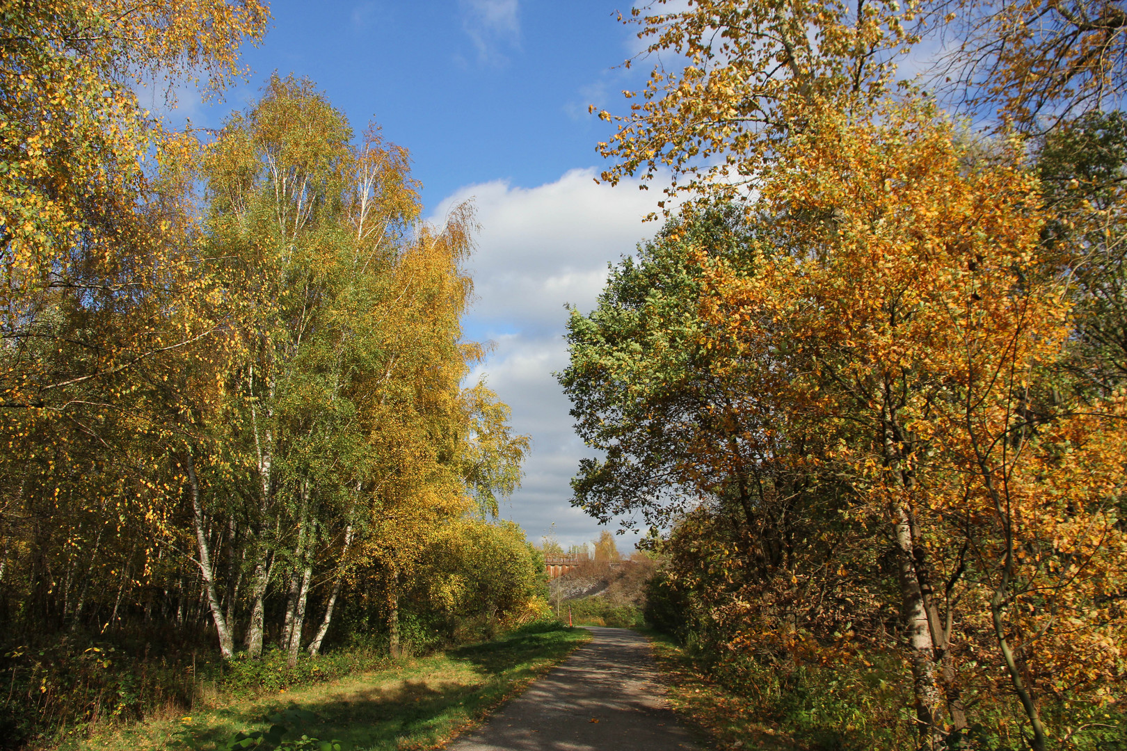 Herbstspaziergang...