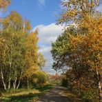 Herbstspaziergang...