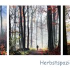 Herbstspaziergang