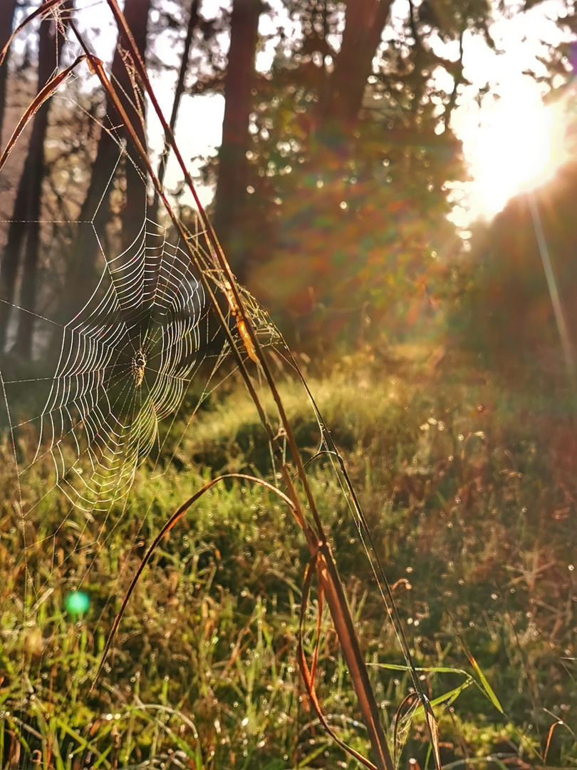 Herbstspaziergang