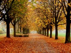 Herbstspaziergang