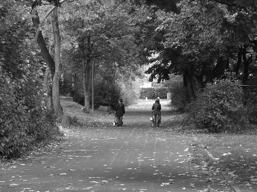 Herbstspaziergang gibt es auch für Puppenwagen