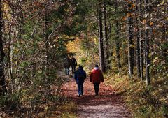 Herbstspaziergang - Hinterstoder - Schiederweiher