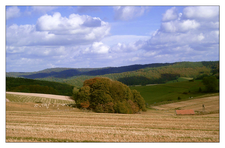 Herbstspaziergang I