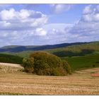 Herbstspaziergang I