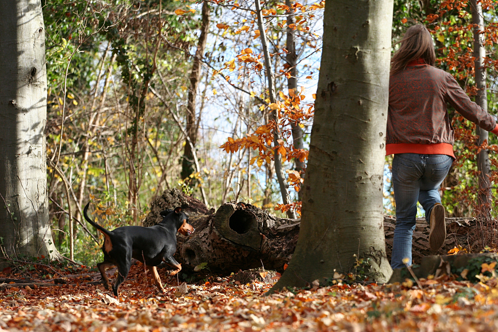 Herbstspaziergang / I