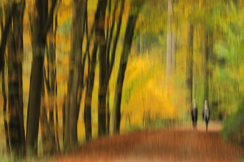 Herbstspaziergang - ICM