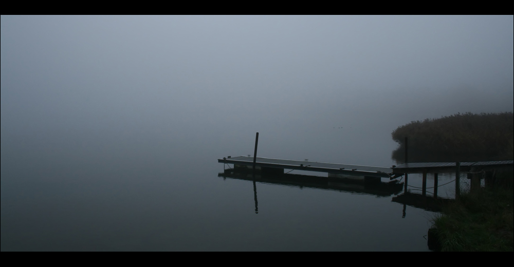 Herbstspaziergang II