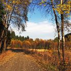 Herbstspaziergang II