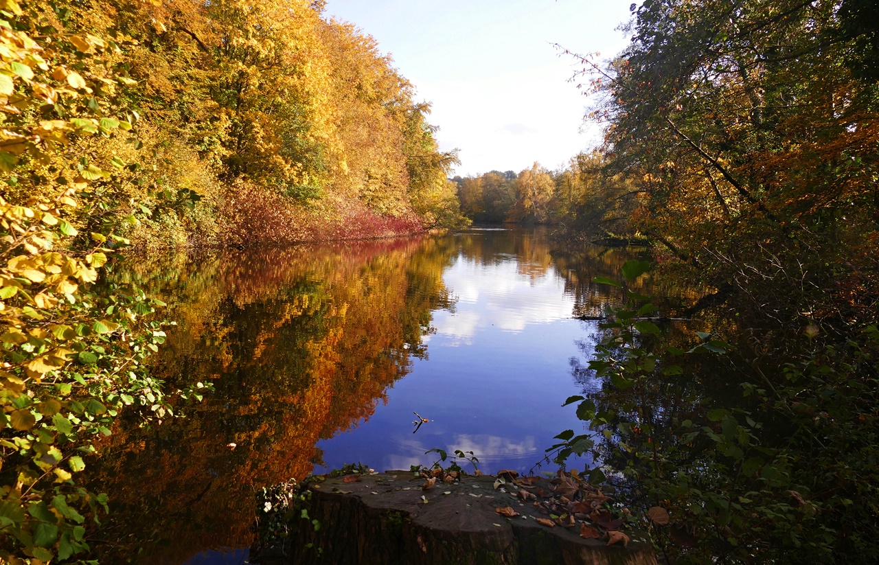 Herbstspaziergang! II.