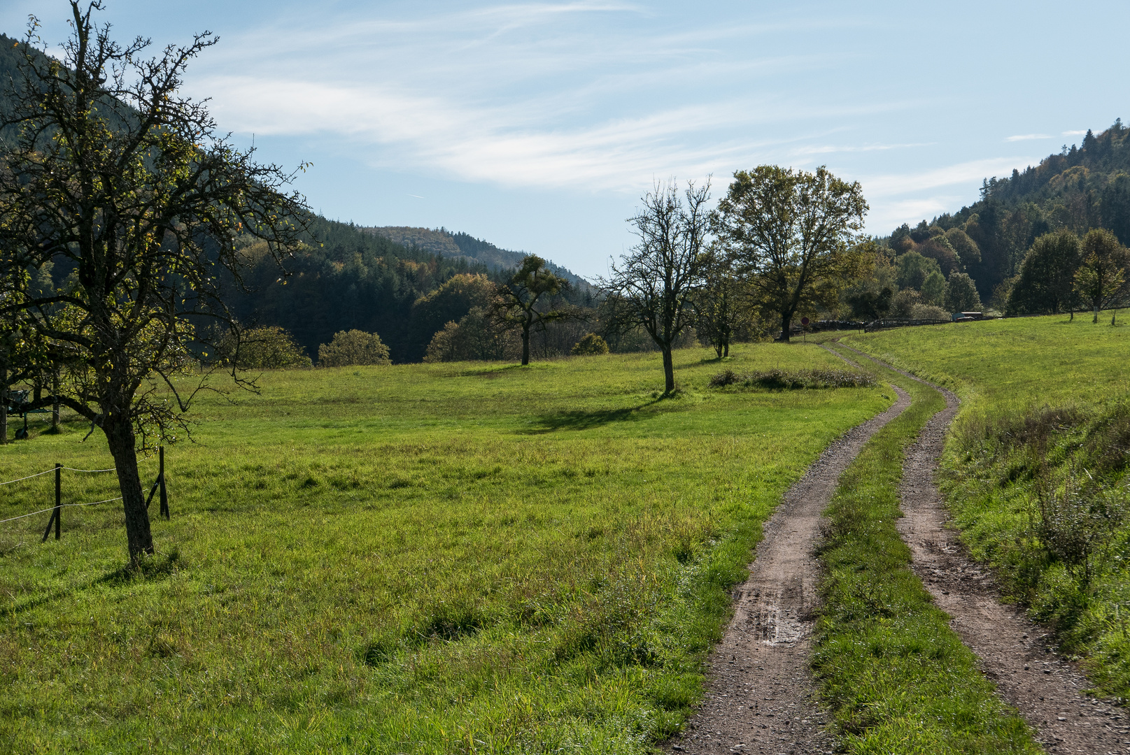 Herbstspaziergang III