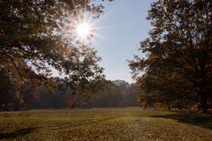 Herbstspaziergang III