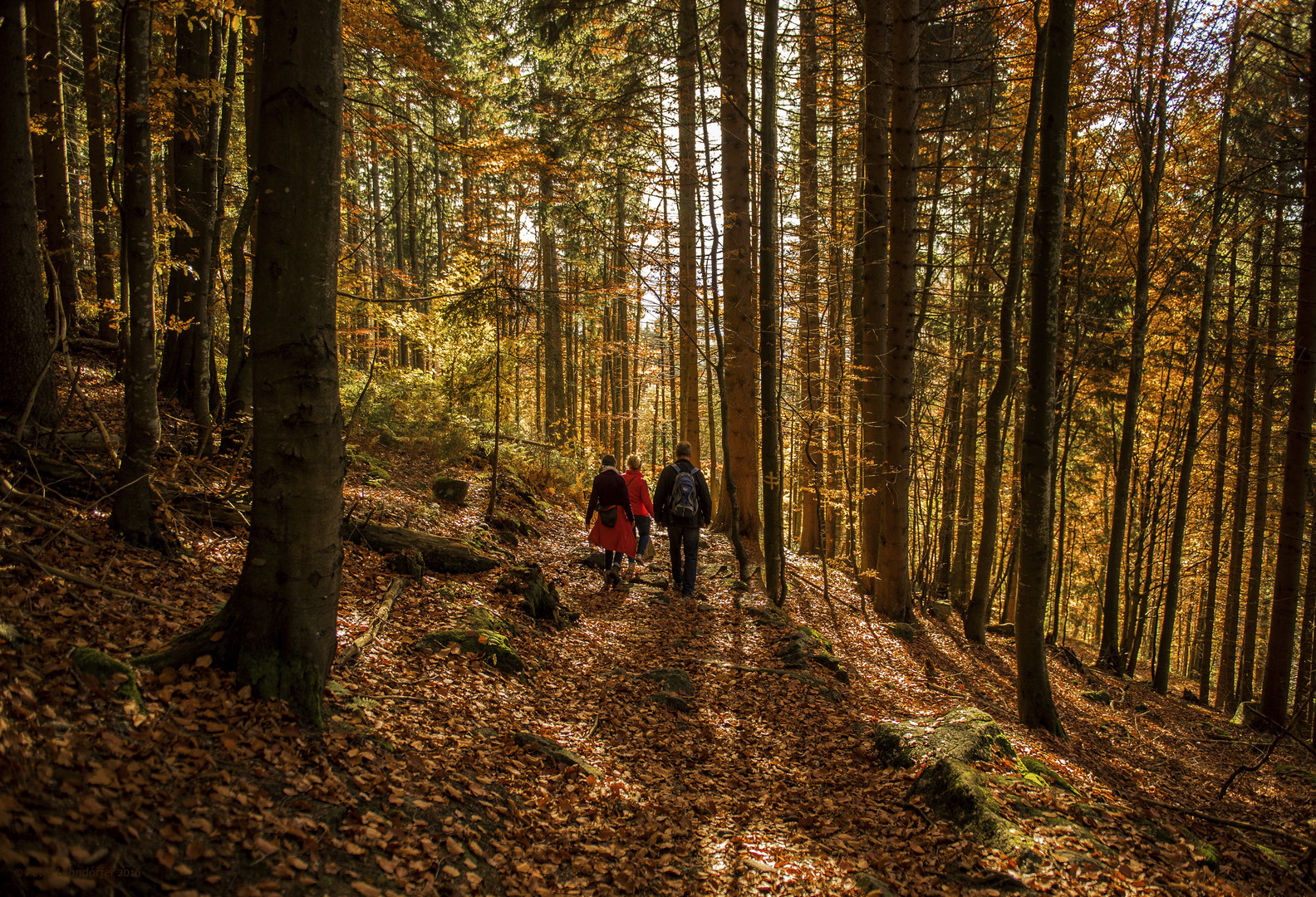 Herbstspaziergang im Bayerischen Wald