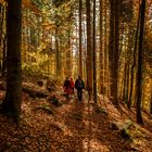 Herbstspaziergang im Bayerischen Wald