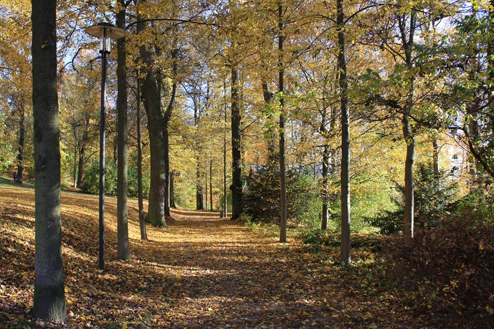 Herbstspaziergang im Bürgerpark Theresienstein