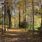 Herbstspaziergang im Bürgerpark Theresienstein