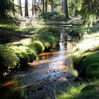 Herbstspaziergang im Erzgebirge